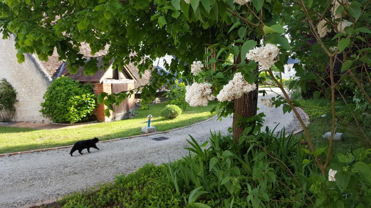 Closerie Des Laudieres Vineuil (Loir-et-Cher) Exterior foto